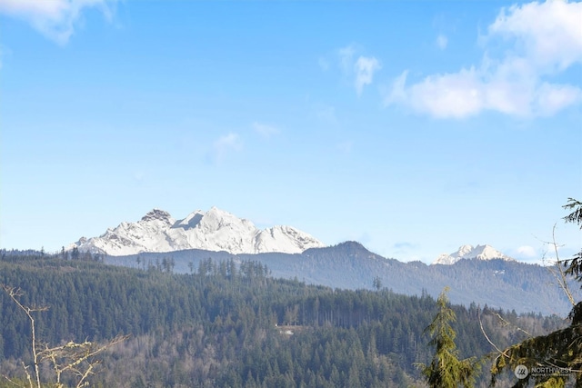 property view of mountains