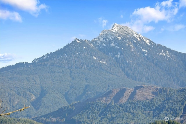 view of mountain feature