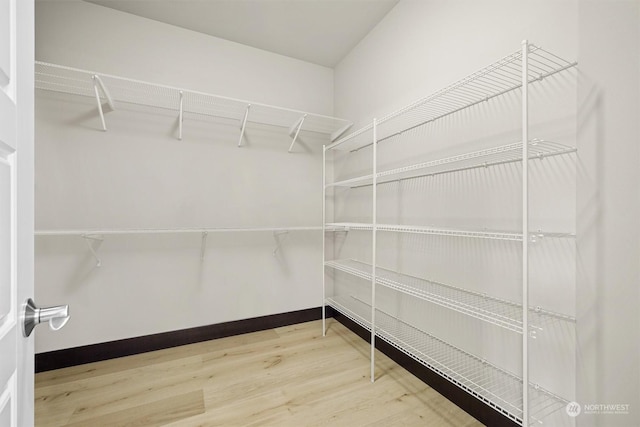 spacious closet featuring hardwood / wood-style flooring