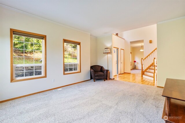 sitting room with stairway, baseboards, visible vents, carpet floors, and crown molding