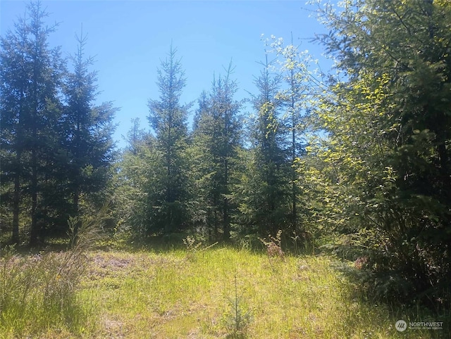 Listing photo 2 for 0LOT7 Buck Dr, Randle WA 98377