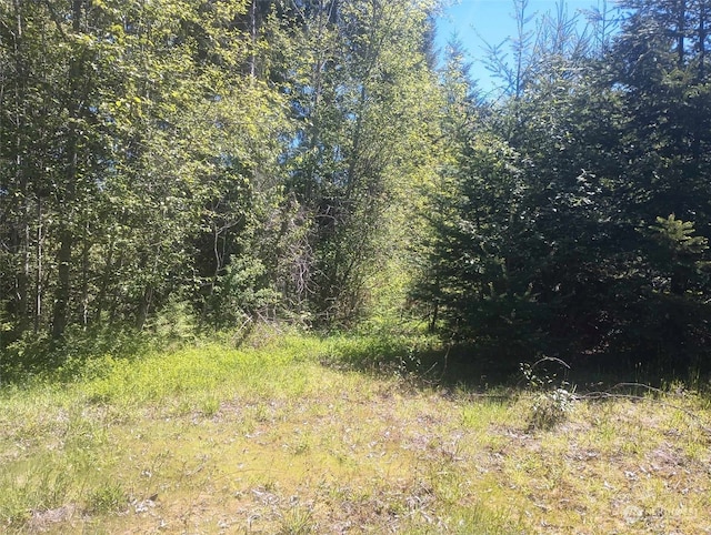 Listing photo 3 for 0LOT7 Buck Dr, Randle WA 98377