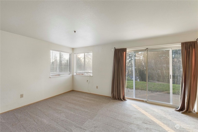 empty room featuring a healthy amount of sunlight and light colored carpet