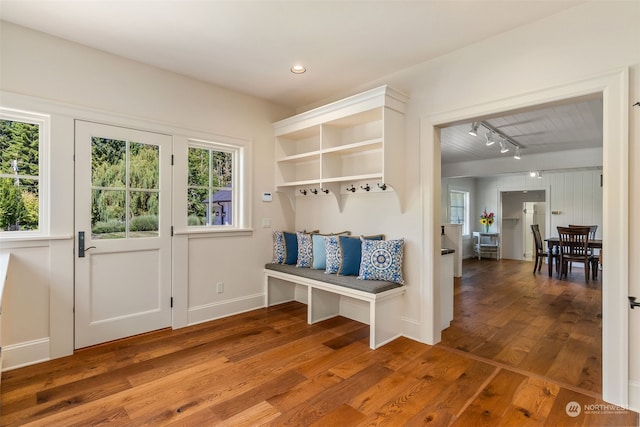 mudroom featuring rail lighting and wood-type flooring