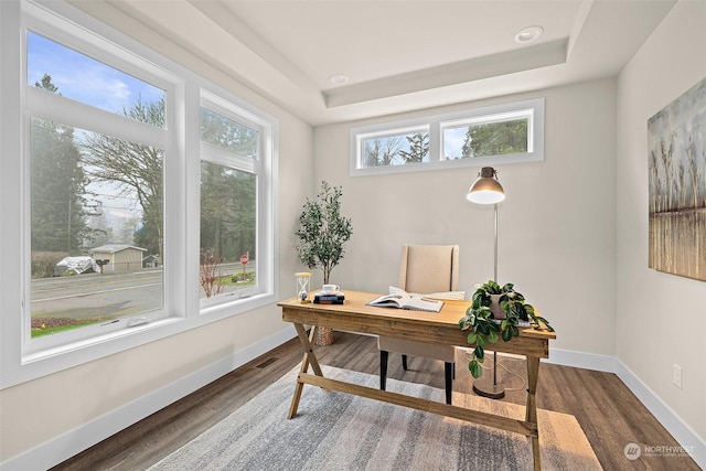 office space featuring dark hardwood / wood-style flooring, a wealth of natural light, and a tray ceiling