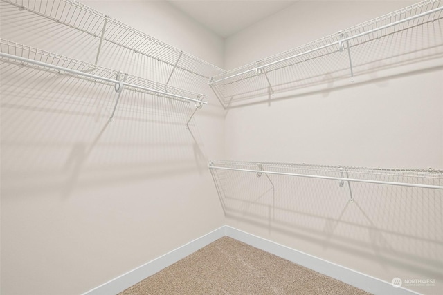 spacious closet with carpet flooring