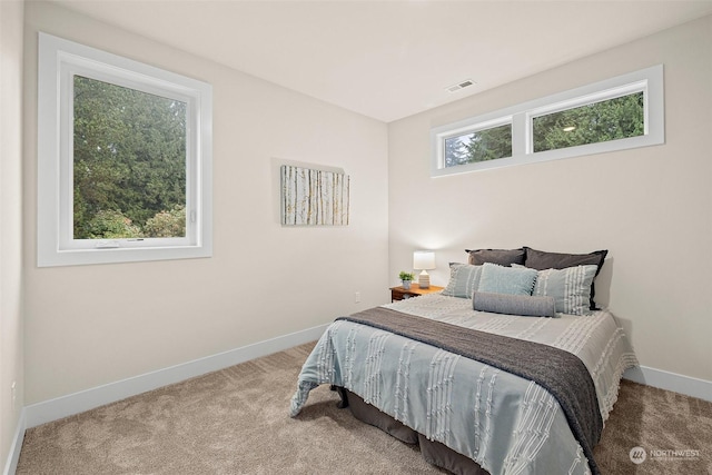 bedroom featuring carpet floors