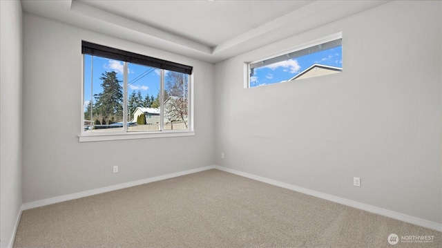 empty room with a raised ceiling and carpet floors