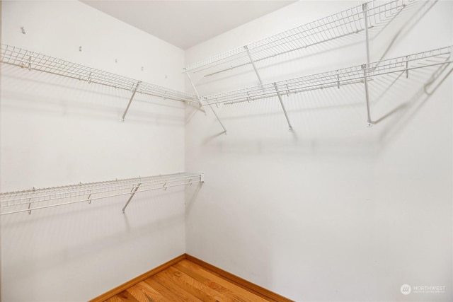 spacious closet with wood-type flooring