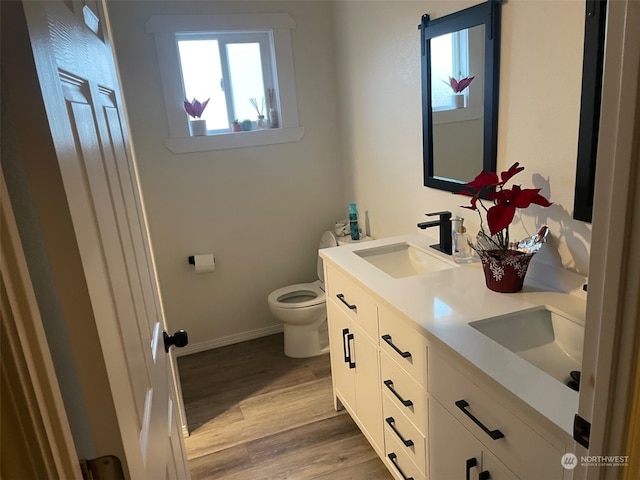 bathroom featuring vanity, wood-type flooring, and toilet