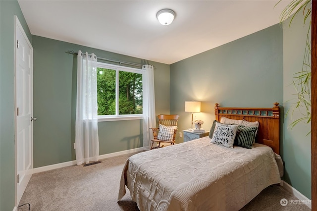 bedroom featuring carpet flooring