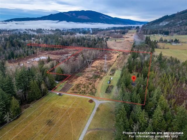 drone / aerial view with a mountain view