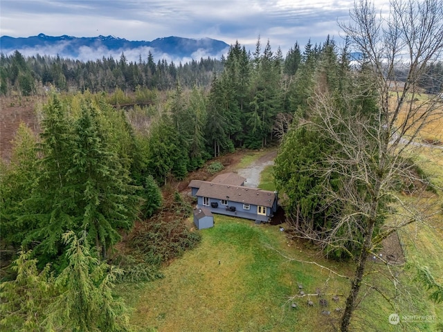 birds eye view of property featuring a mountain view