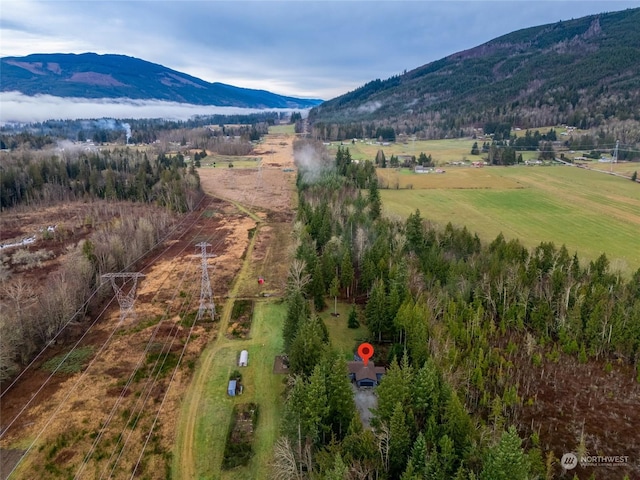 aerial view with a mountain view and a rural view