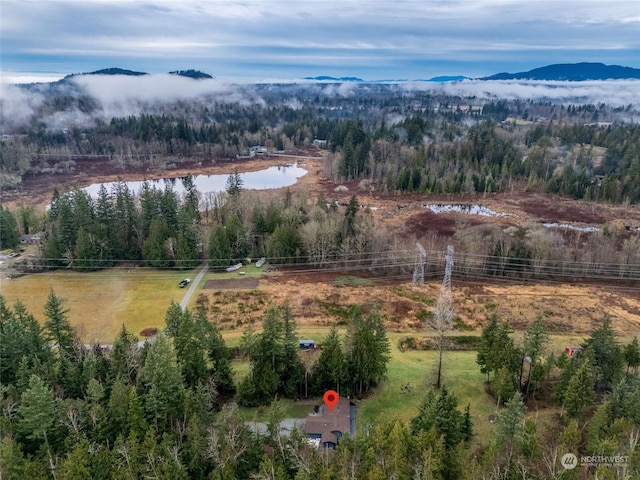 bird's eye view with a rural view and a water and mountain view