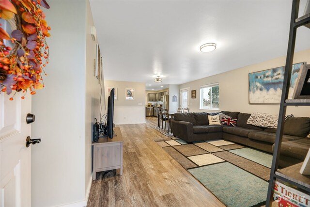 living room with hardwood / wood-style flooring