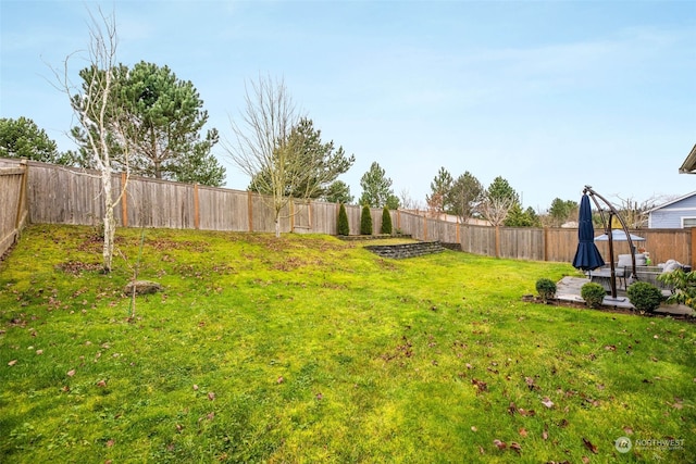 view of yard featuring a patio area