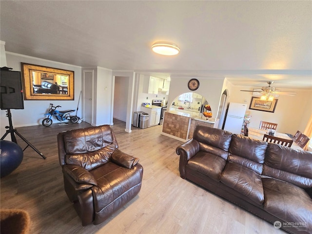 living room featuring light wood-type flooring, ceiling fan, and ornamental molding