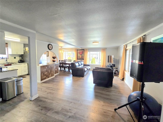 living room featuring a textured ceiling, ceiling fan, light hardwood / wood-style floors, and crown molding