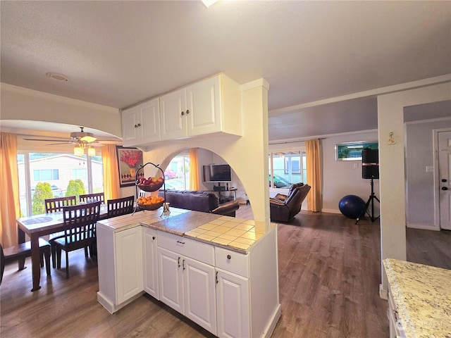 kitchen with kitchen peninsula, ceiling fan, white cabinets, and a wealth of natural light