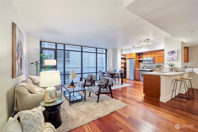 living room featuring sink, a wall of windows, and light hardwood / wood-style flooring