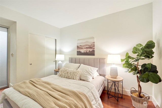 bedroom featuring a closet and hardwood / wood-style floors