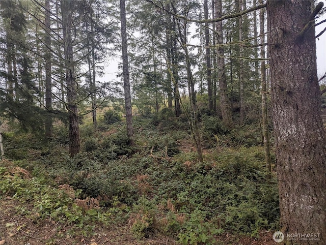 161 E Hemlock Ln, Union WA, 98592 land for sale