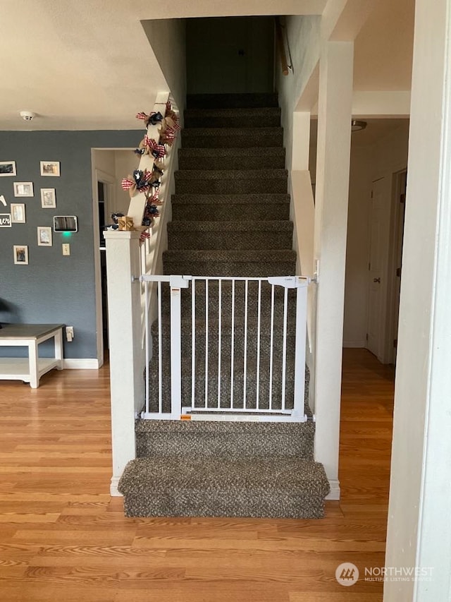 staircase featuring hardwood / wood-style flooring