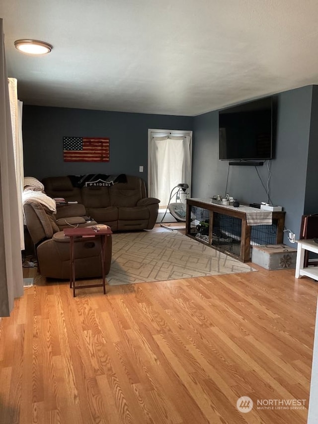 living room with light hardwood / wood-style flooring