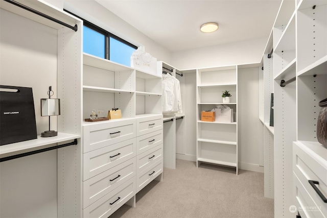 spacious closet featuring light carpet