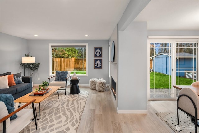 living room featuring light hardwood / wood-style floors