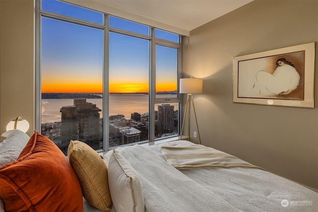 bedroom with a water view, a wall of windows, and multiple windows