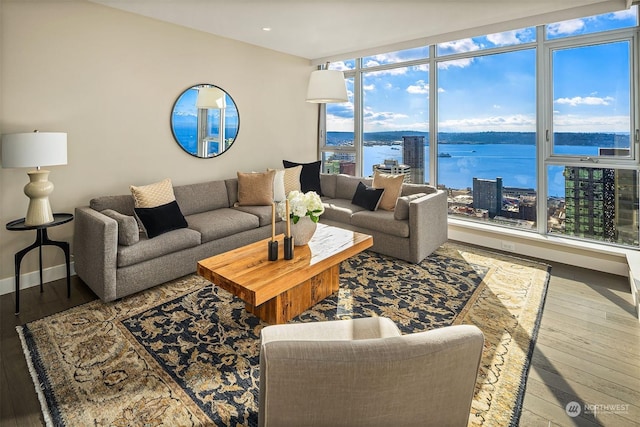 living room with a water view and light hardwood / wood-style flooring