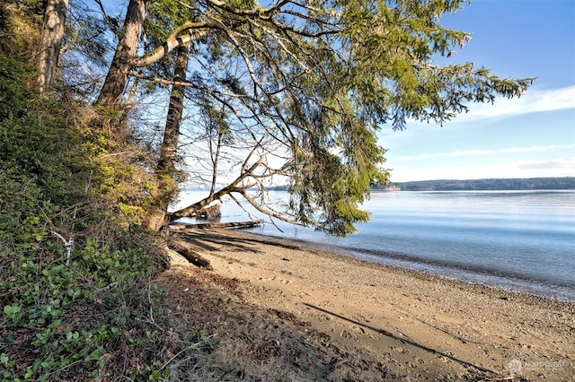 view of water feature with a beach view