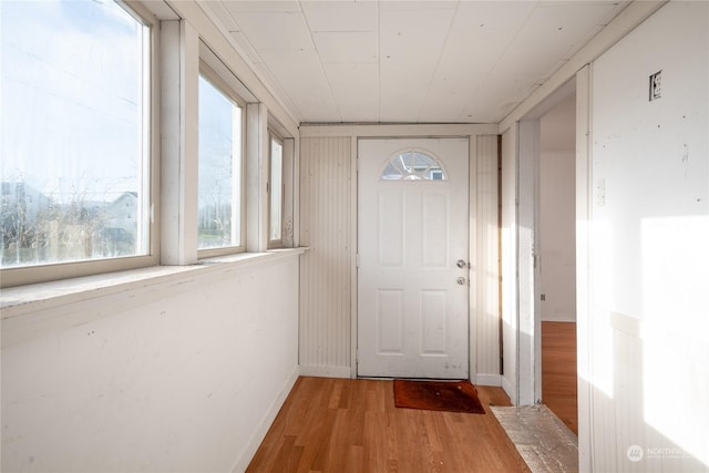 doorway featuring plenty of natural light and light hardwood / wood-style flooring