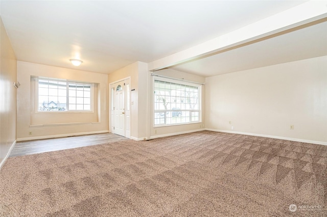 interior space featuring carpet and plenty of natural light