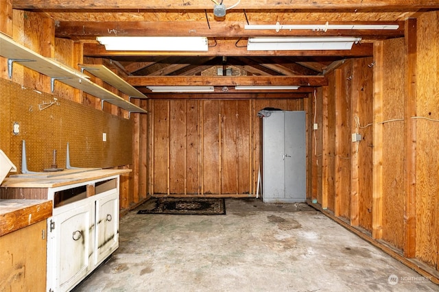 basement with wooden walls