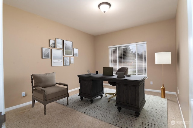 office area featuring light colored carpet