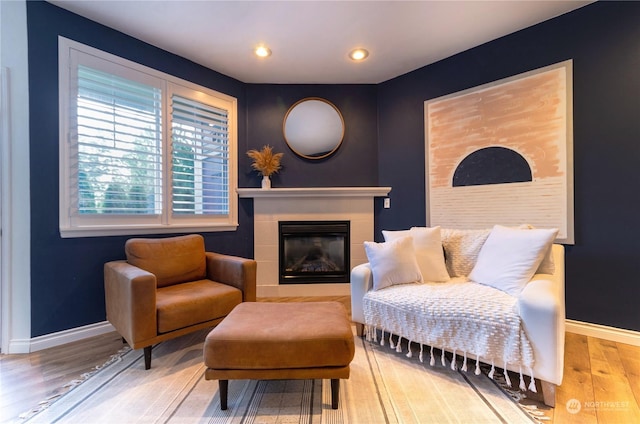 living area with wood-type flooring