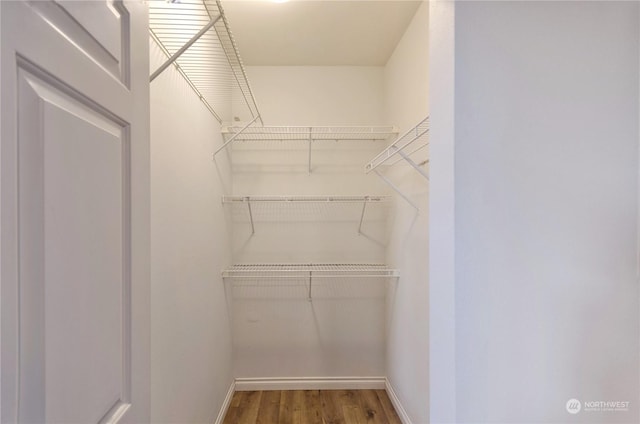 spacious closet with wood-type flooring