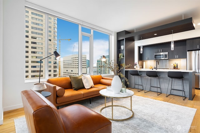 living room featuring light hardwood / wood-style floors and sink