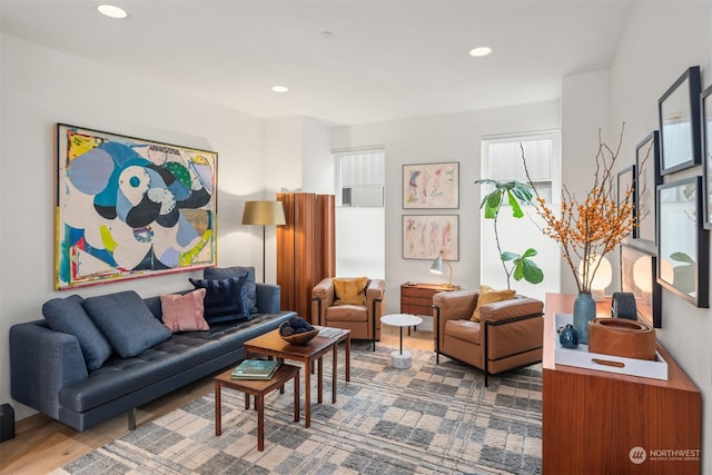 living room featuring hardwood / wood-style flooring