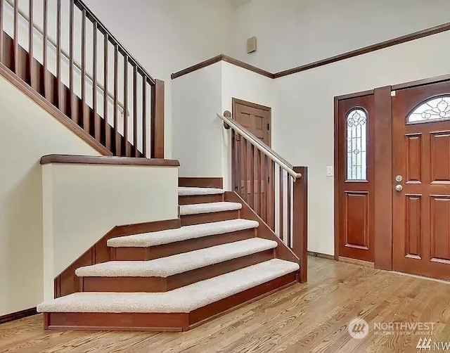 foyer with a towering ceiling and hardwood / wood-style flooring