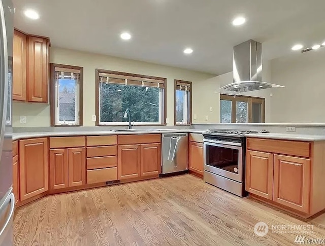 kitchen featuring appliances with stainless steel finishes, ventilation hood, light hardwood / wood-style floors, and sink