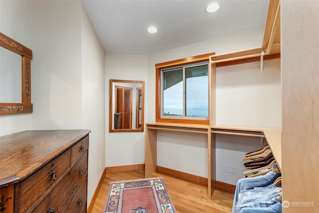 spacious closet with light wood-type flooring