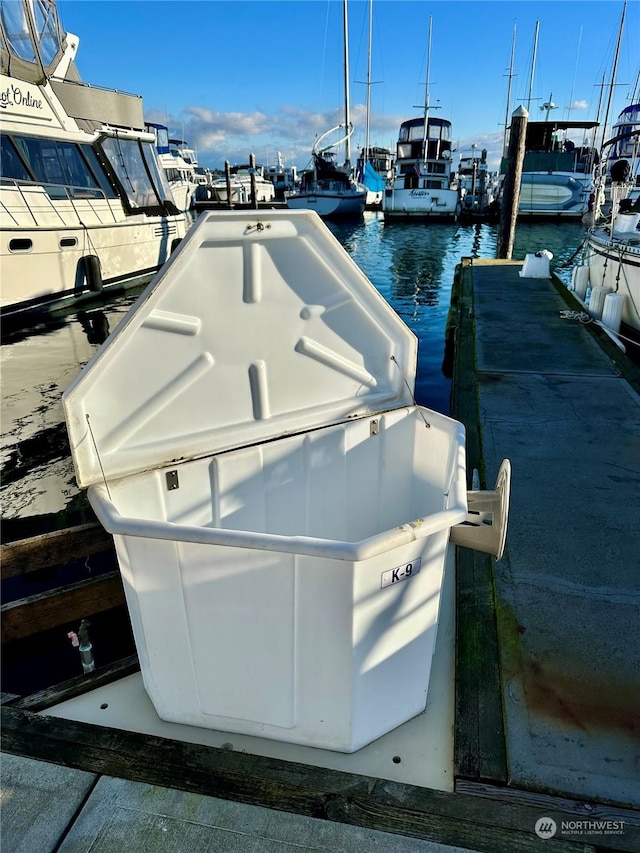 dock area with a water view