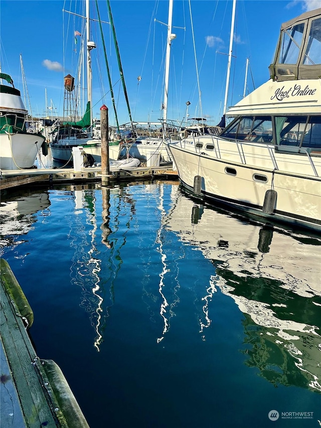 dock area with a water view