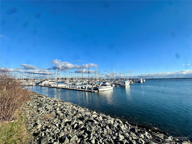 dock area with a water view