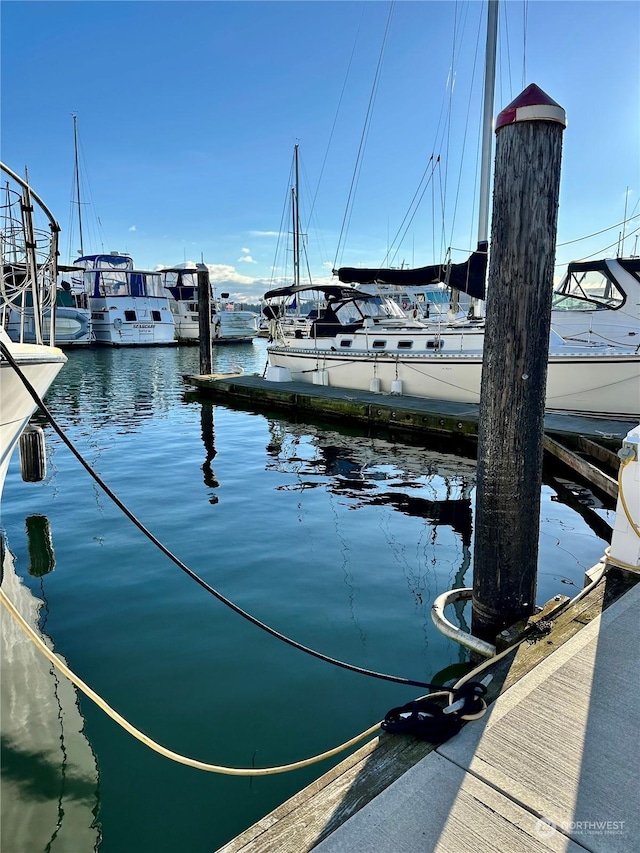 dock area with a water view