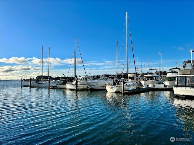 dock area featuring a water view